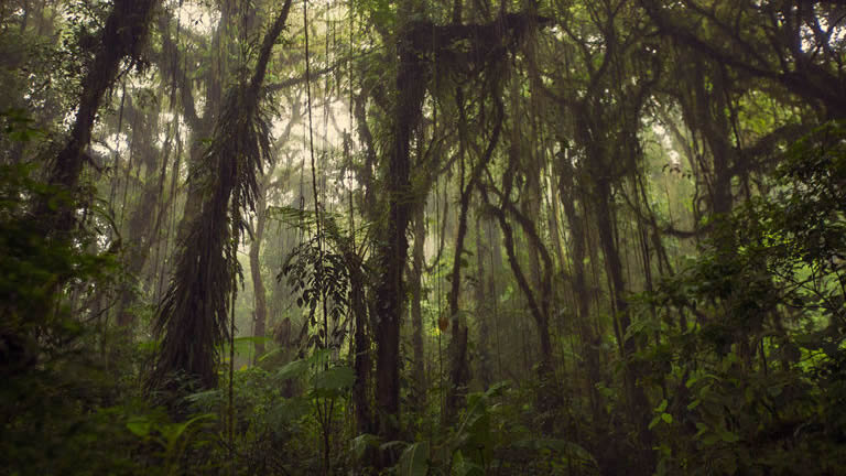 Costa Rica: Volcanoes, Cloud Forests & Zip-Lines