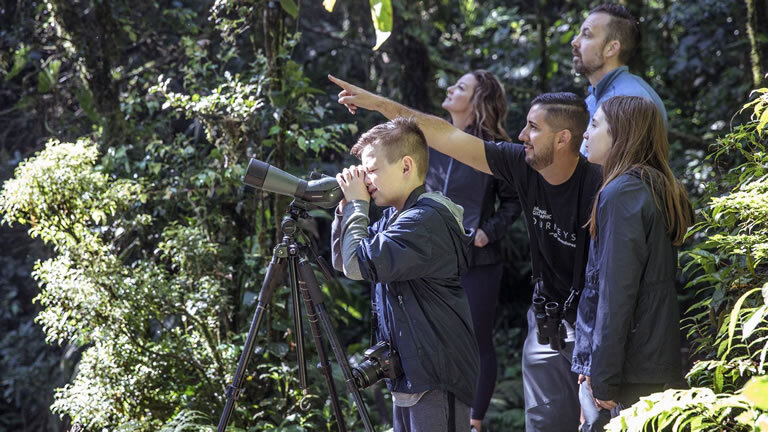 Costa Rica Family Journey: From Rainforest to Coast