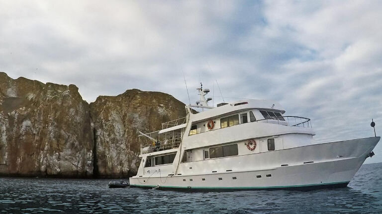 Galápagos - East, Central, & West Islands aboard the Eden