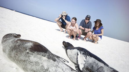 Snorkel in the Galapagos