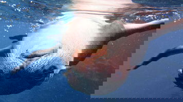 8 Day Galápagos - West & Central Islands aboard the Reina Silvia Voyager (Cruise Only) (G Adventures)