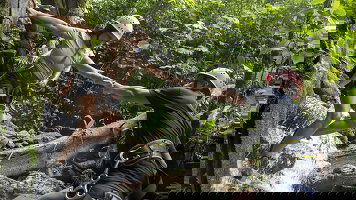 The Geluxe Collection vs National Geographic Journeys