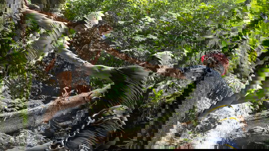 The Geluxe Collection vs National Geographic Journeys