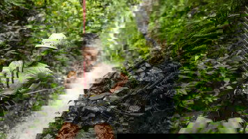 15 Day Costa Rica North and South: National Parks, Wildlife & Hot Springs (G Adventures)