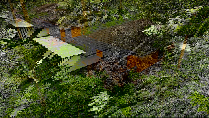 Costa Rica North and South: National Parks, Wildlife & Hot Springs