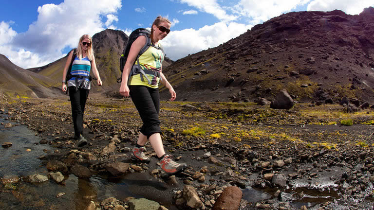 Iceland Family Journey: Geysers, Glaciers, and Fjords