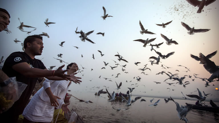 Kerala: Beaches & Backwaters