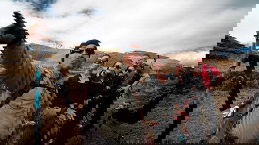 Our Chief Experience Officers (CEOs)