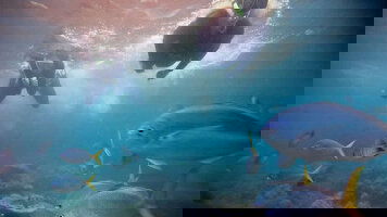 4 Day Sailing Thailand (G Adventures)