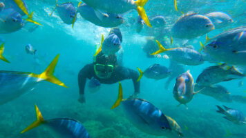 8 Day Southern Thailand Sojourn: Nightlife & National Parks (G Adventures)