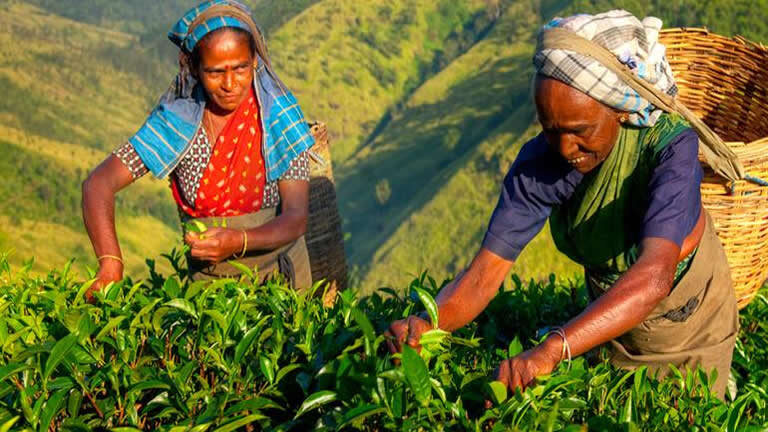 Sri Lanka Encompassed