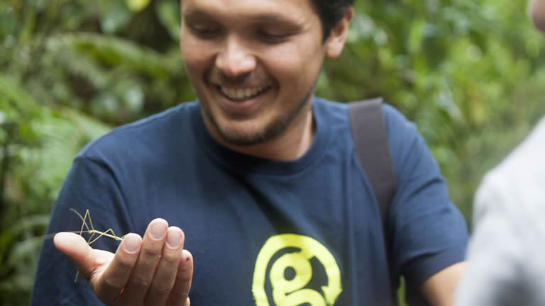 Gorilla Trek Independent Adventure