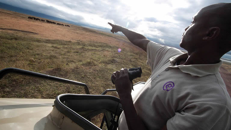 Botswana & Falls Overland: Wildlife Walks & Safari Drives