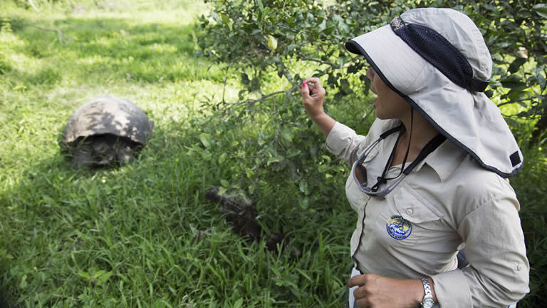 Complete Galápagos - Eden