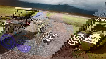 20 Day Serengeti to Victoria Falls Overland: Night Stars & Spices (G Adventures)