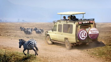 15 Day Kilimanjaro - Lemosho Route & Serengeti Adventure (G Adventures)