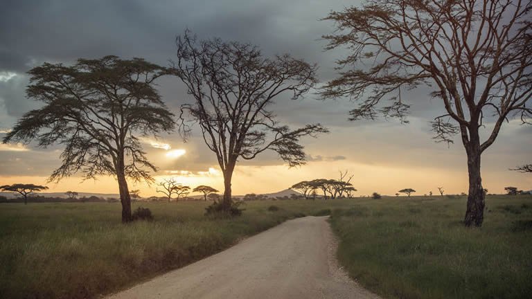 Serengeti, Falls & Cape Town Overland: Sunsets & Safaris
