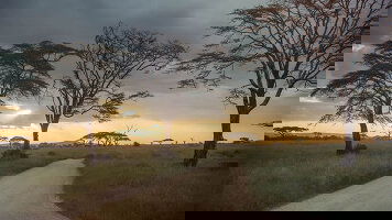 27 Day Nairobi to Joburg Overland: Craters & Camping (G Adventures)