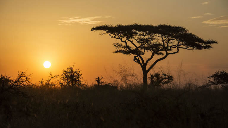 Tanzania Camping Adventure