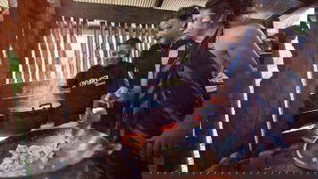 5 Day Northern Thailand Hilltribes Trek (G Adventures)