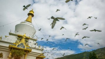 7 Day Bhutan: The Haa Valley, Himalayan Passes & Tiger's Nest (G Adventures)