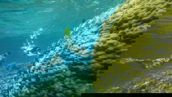 15 Day Lombok to Flores: The Hidden Path (G Adventures)