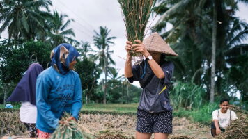 7 Day Lombok & Gili Adventure: Culture, Peaks & Paradise (G Adventures)