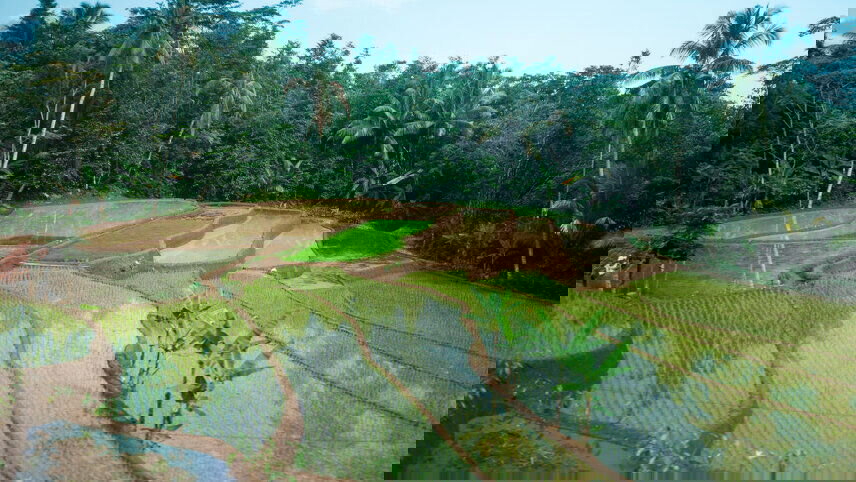 Best of Java & Sumatra