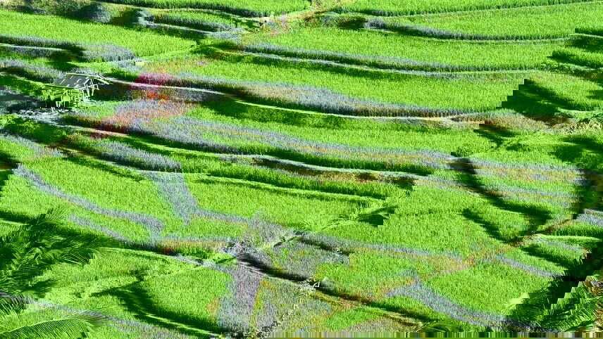 Indonesia: Bali Adventure