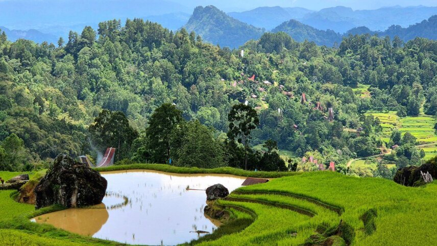 Sulawesi Adventure: The Culture of Tana Toraja