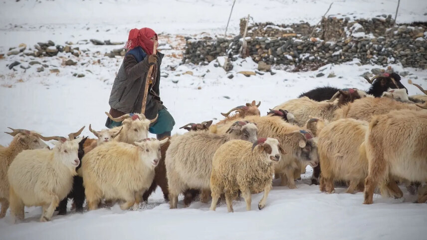 Kashmir to Ladakh: Where Valleys Meet the Sky