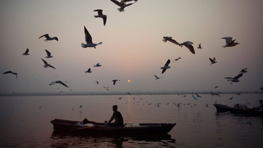 Northern India: Dharamshala, Kashmir & Ladakh Highlights