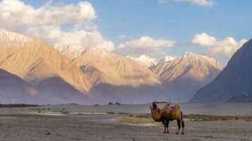 22 Day Northern India & Himalayan Trails (G Adventures)
