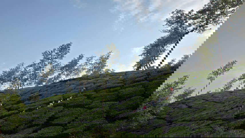 Southern India: West to East Coast