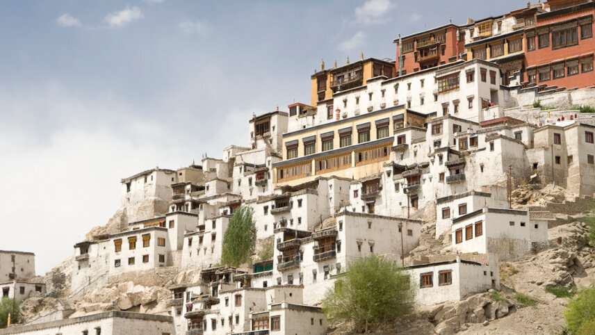 Ladakh Adventure: High Passes, Monasteries & Starry Skies