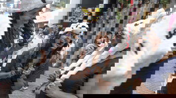 12 Day Active Japan: Mt Fuji & Hokkaido (G Adventures)