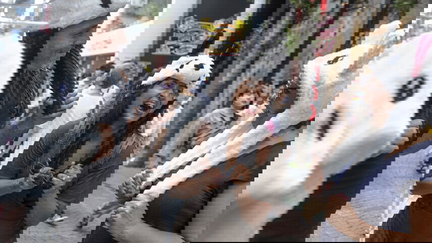 Active Japan: Mt Fuji & Hokkaido