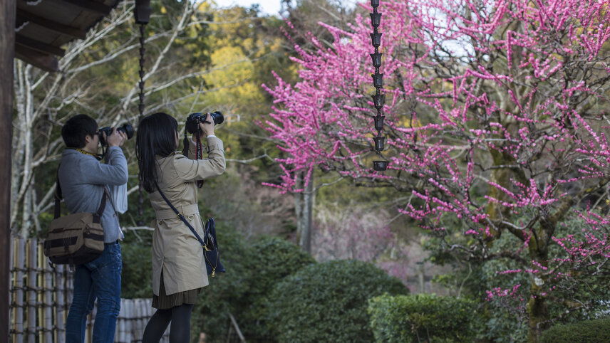 Active Japan: Kyoto & Okinawa Island Hopping