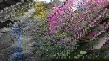 10 Day Active Japan: Kyoto & Okinawa Island Hopping (G Adventures)