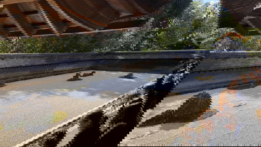 Active Japan: Kyoto & Okinawa Island Hopping