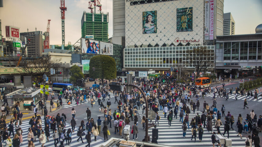Tokyo to Osaka: Neon-lit Cities & Tranquil Countryside