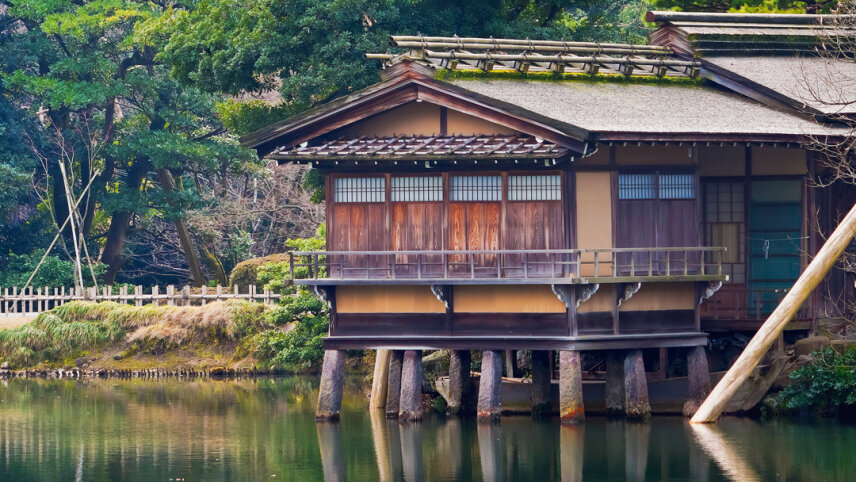 Tokyo to Osaka: Neon-lit Cities & Tranquil Countryside