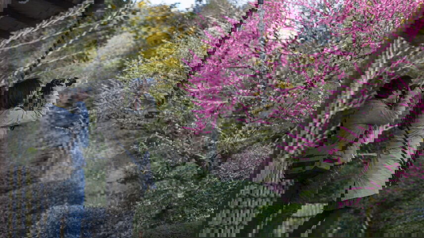 Active Japan: Hokkaido Highlights & Okinawa Island Hopping