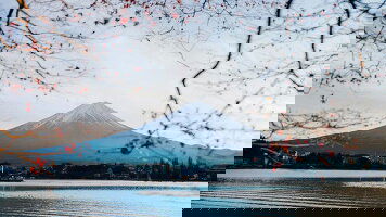 12 Day Signature: Japan's Tokyo, Kyoto & Osaka (G Adventures)