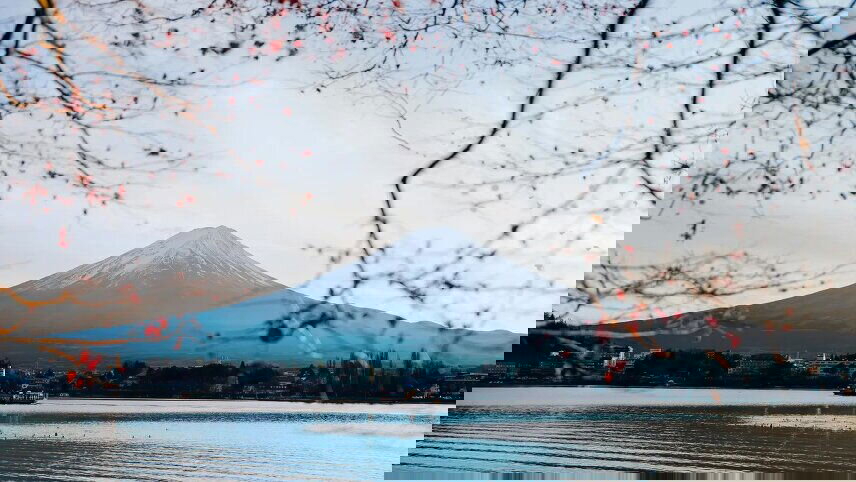 Signature: Japan's Tokyo, Kyoto & Osaka