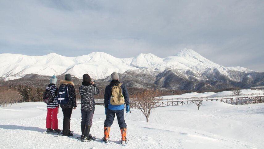 Active Japan: Hokkaido in Winter, Sea Ice to Onsens