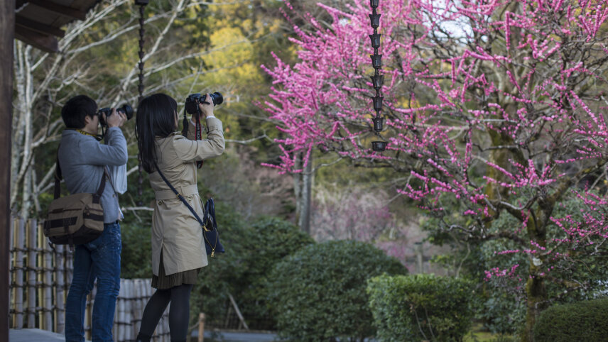 Seoul to Tokyo: Korea & Japan Highlights