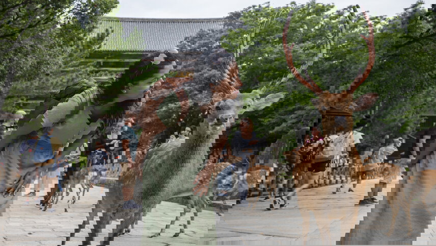 Seoul to Osaka: Beaches & Big Cities