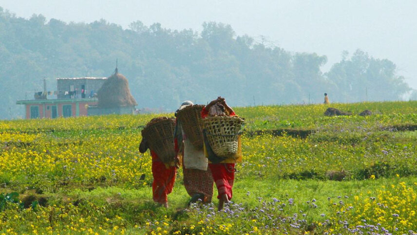 Nepal: Annapurna Hiking & Chitwan National Park