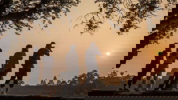 5 Day Cambodia to Bangkok: Phnom Penh, Siem Reap & Khao San Road Hangouts (G Adventures)